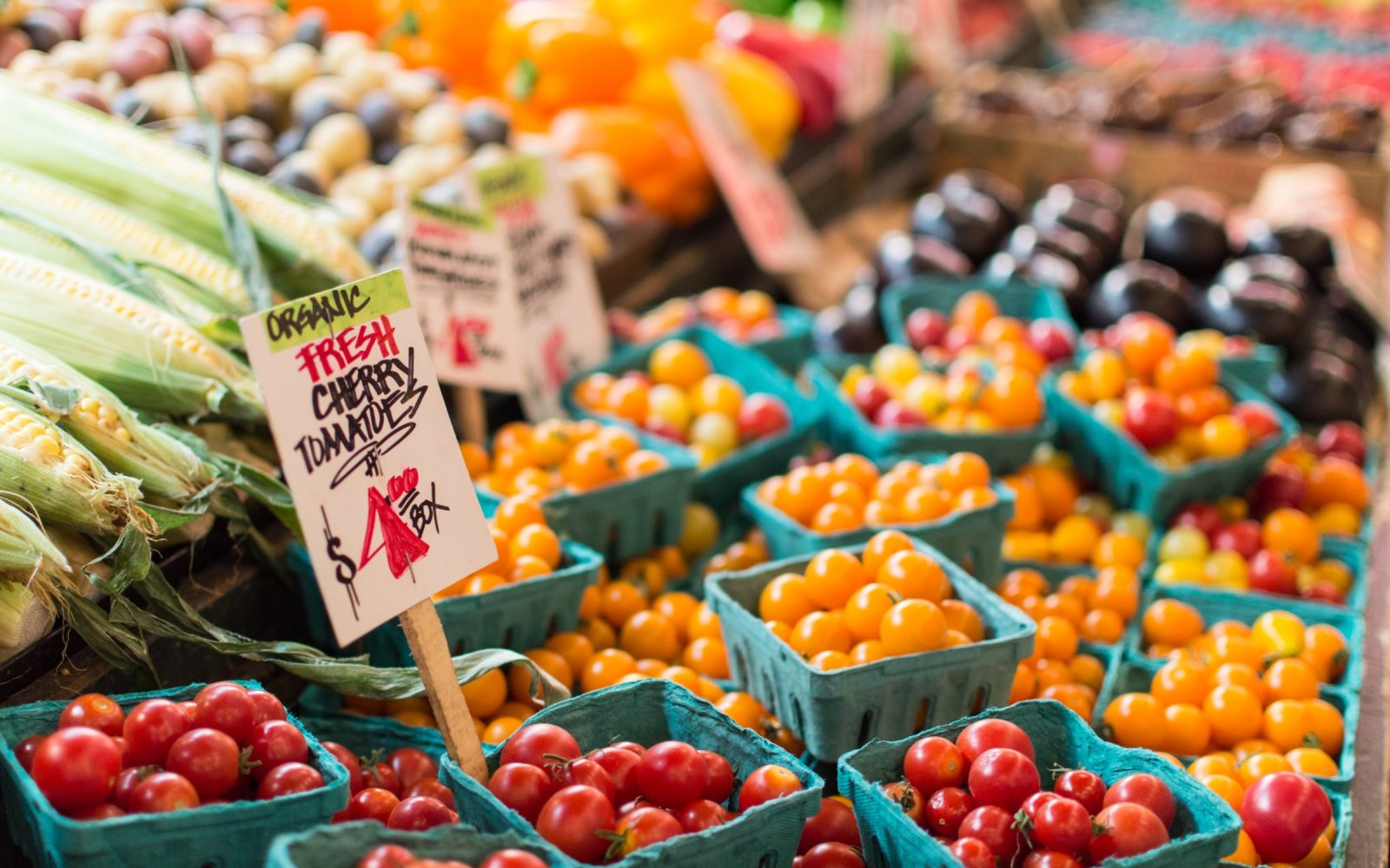 Saturday Farmers Market — Porchlight community event